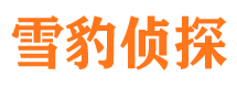 内乡市调查公司